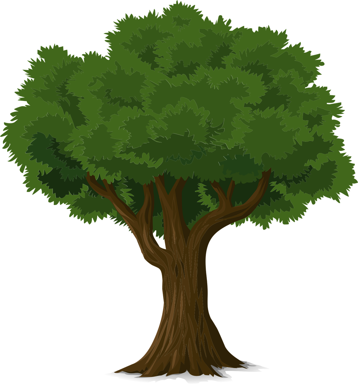 tree